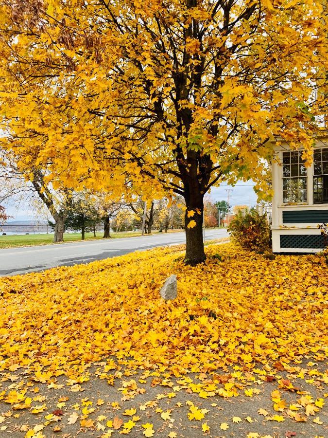 The Colonel'S In Bed And Breakfast Fredericton Exteriér fotografie
